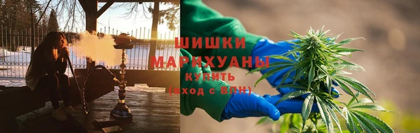 PSILOCYBIN Инсар