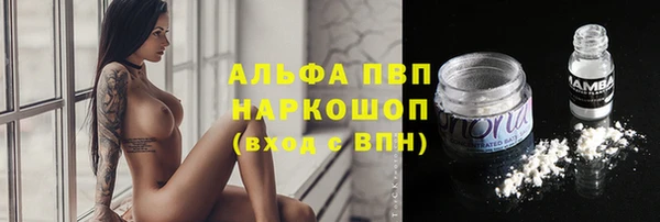 2c-b Инта