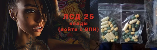 PSILOCYBIN Инсар