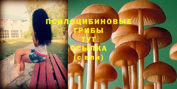 прущие грибы Иннополис
