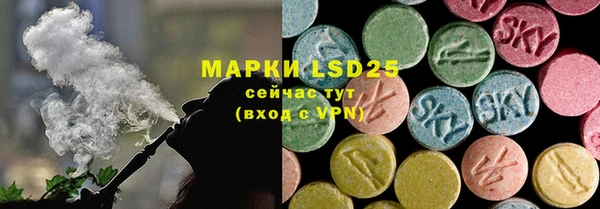 прущие грибы Иннополис