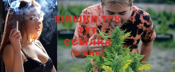 PSILOCYBIN Инсар