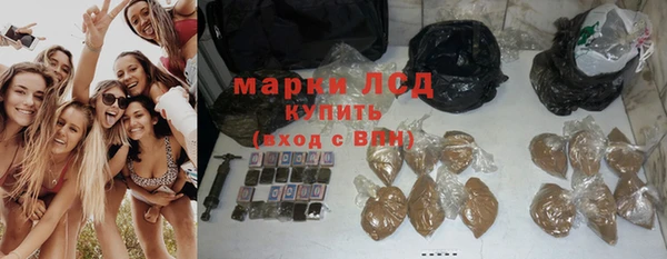 прущие грибы Иннополис