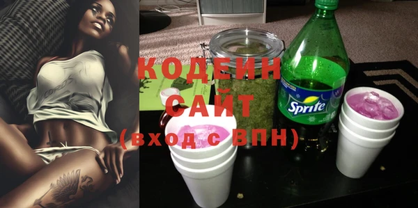 прущие грибы Иннополис
