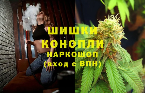 2c-b Инта