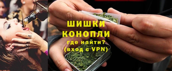 прущие грибы Иннополис