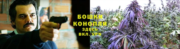 PSILOCYBIN Инсар