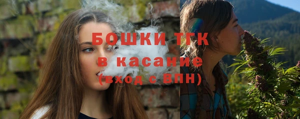 прущие грибы Иннополис