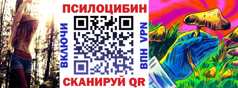 Псилоцибиновые грибы MAGIC MUSHROOMS  Купить где  Саратов 